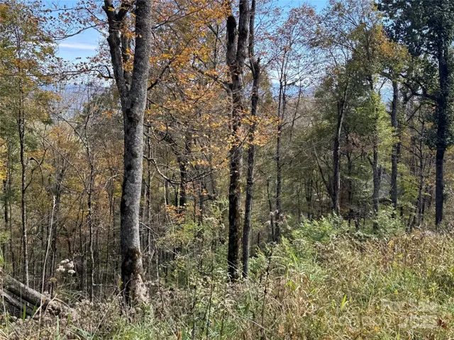 Nice Lot w/High Elevation Close to Paved Rd