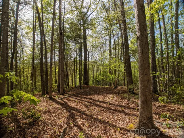 Gentle sloping build site with great view potential