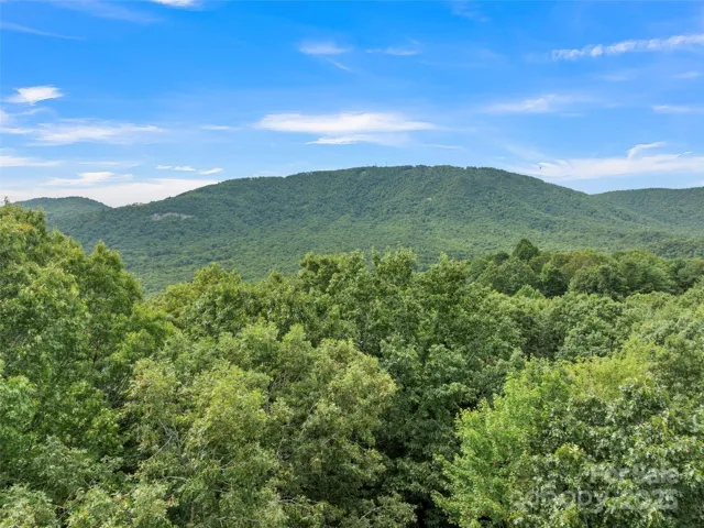 Potential views of Pinnacle Mountain from highest elevation on the property