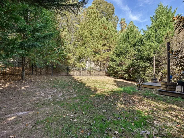 Private, wooded back yard