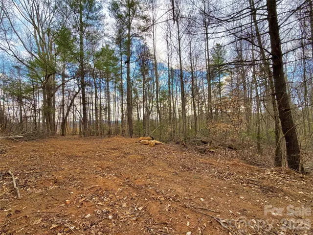 Clearing and view through the trees