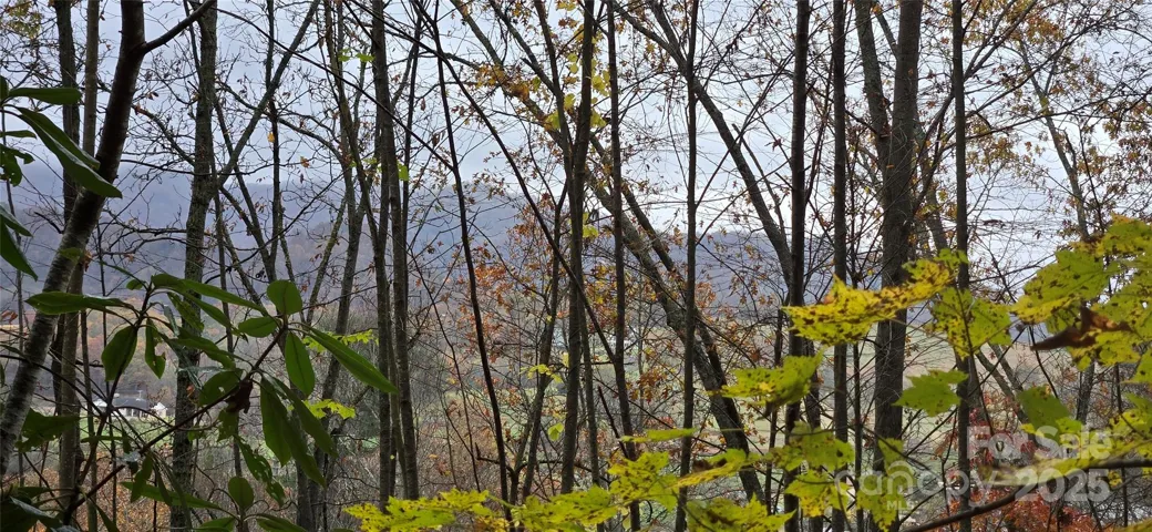 View from property looking towards the mountains