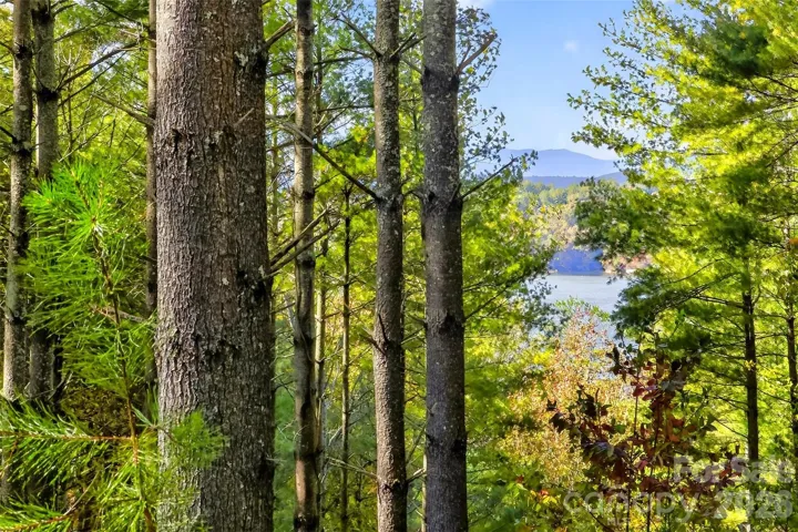 Your long range views that could be expanded