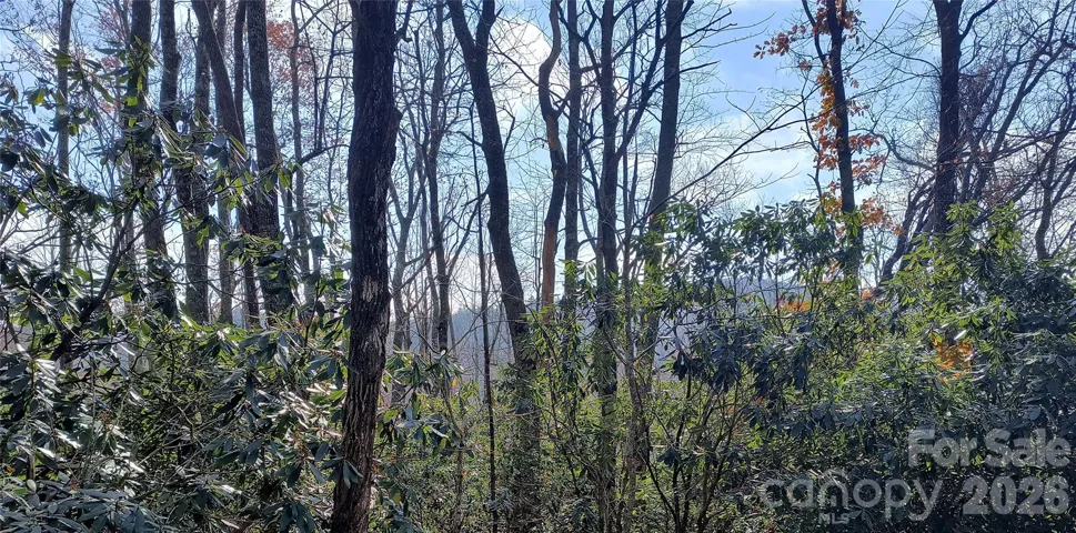 Lot 322 View