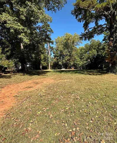 Mature Oaks at the edge of the property that should not interfere with Build