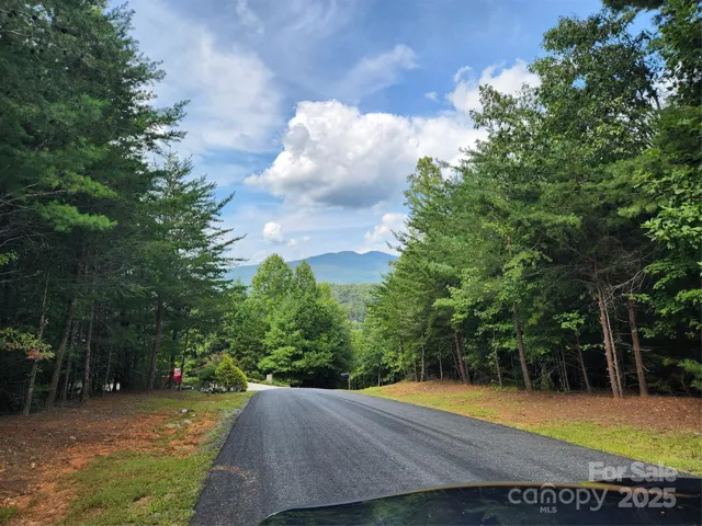 View from street towards Grandfather mountain