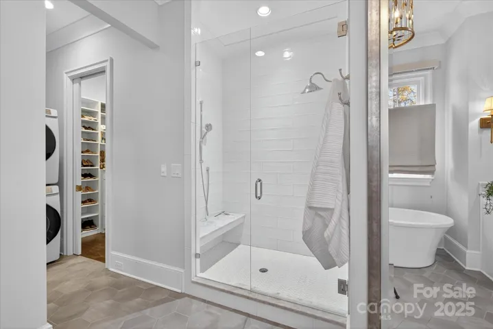 Frameless Shower 