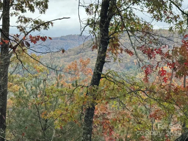 One of several views