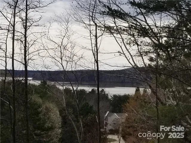 View from the property of Badin Lake.