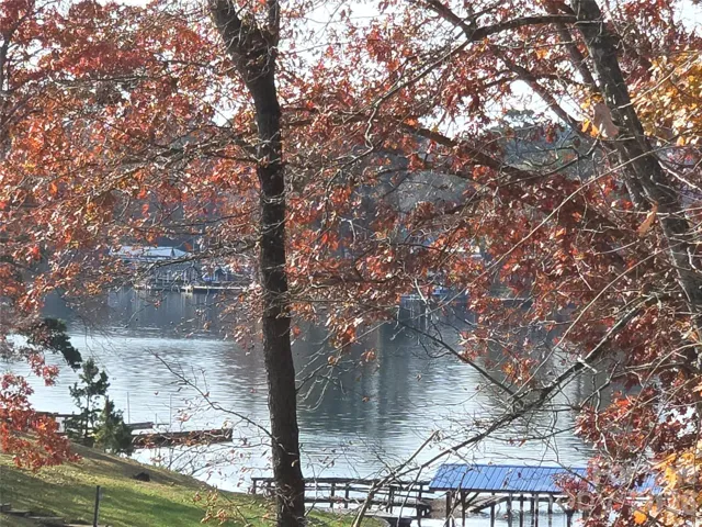 View of Badin Lake from the property.