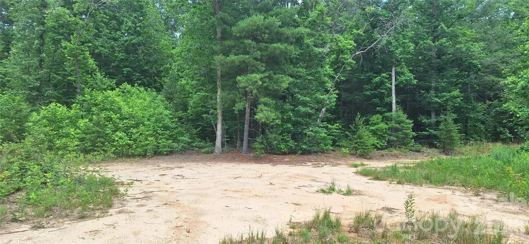 Cleared area for house