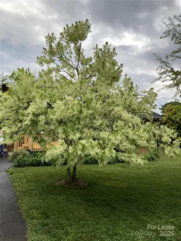 1170