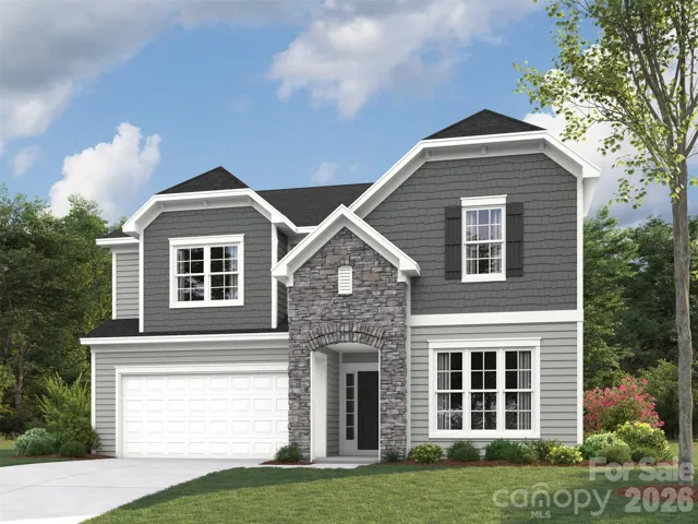 Elevation rendering only