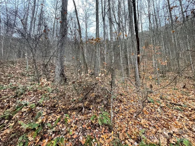 1170