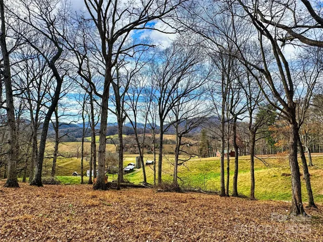 Top of Property, along Old Newfound Rd looking West