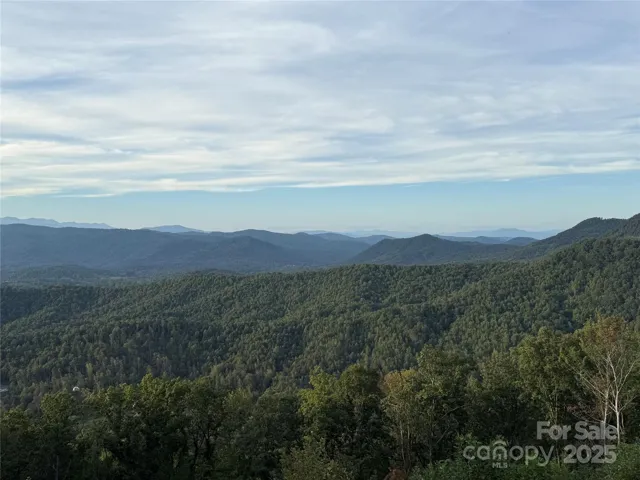Looking out from the homesite!