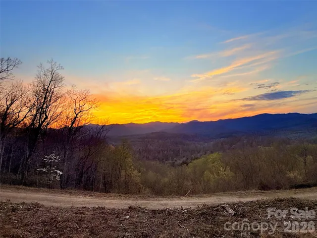 Homesite View. Make it yours!