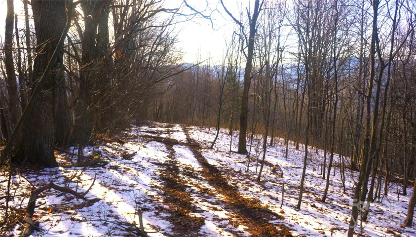 1170