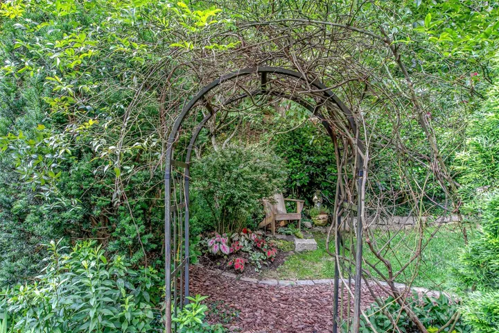 Garden area