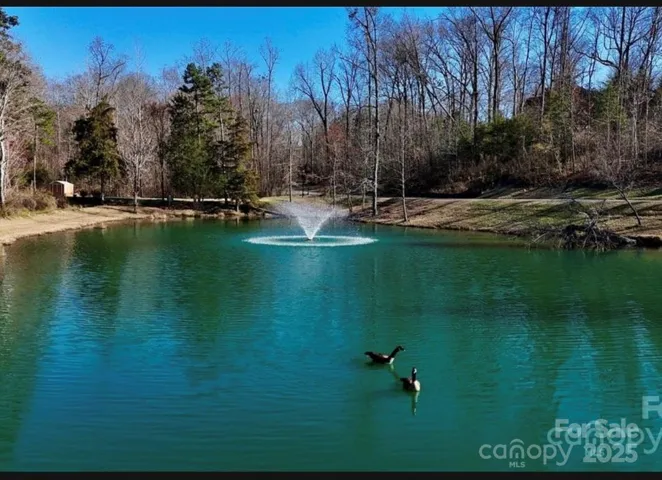 Pond view