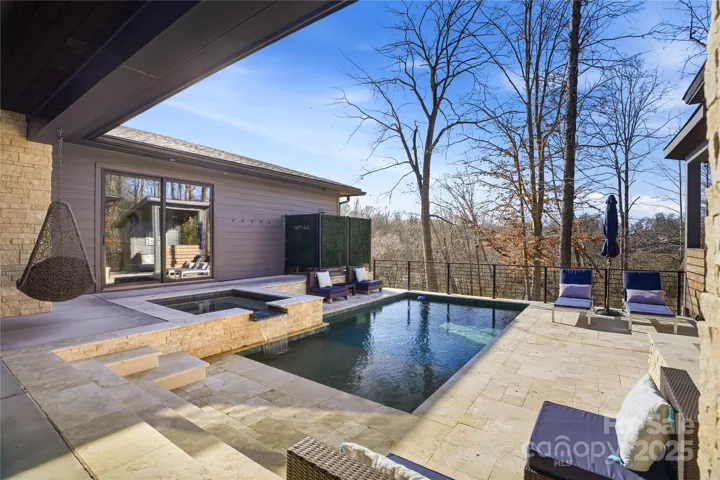 Back patio/pool