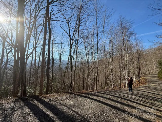Southern Views