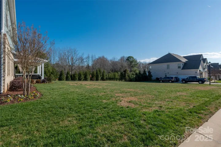 Large spacious rear yard
