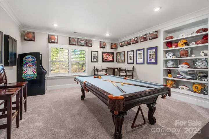 Bonus room with display shelves