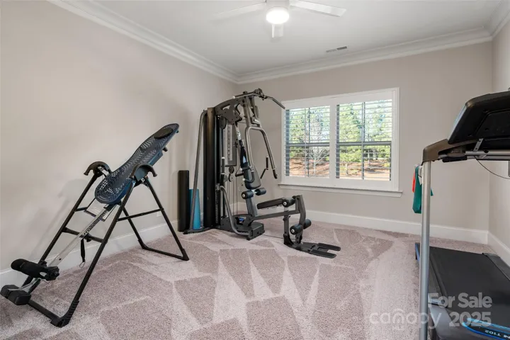Bedroom #4 - currently being used for home gym