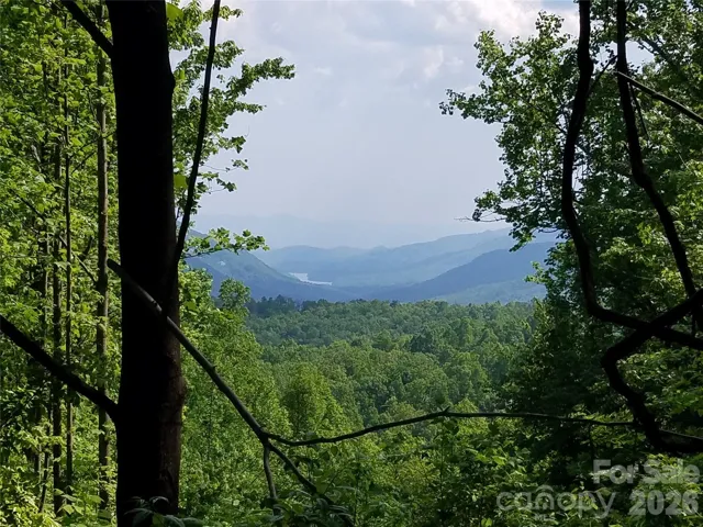 This property offers 100% view control 365 days a year. No seasonal views here! Just big views everyday.