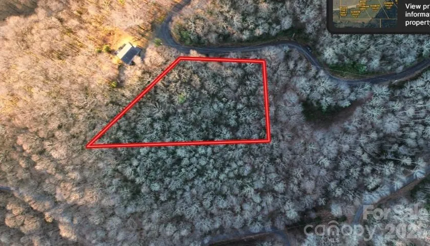 Approximate property lines