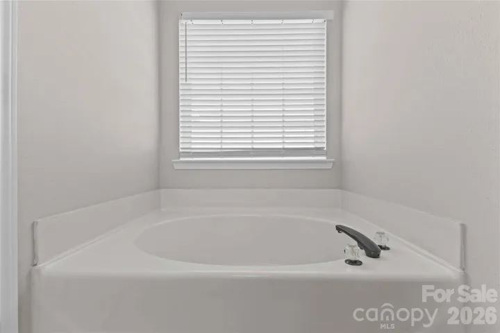 Master Bath Tub