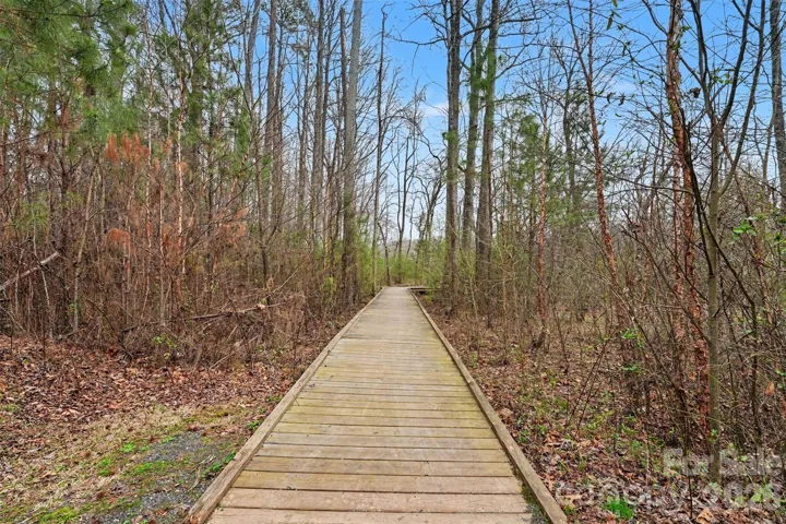 Trail to Kayak Launch