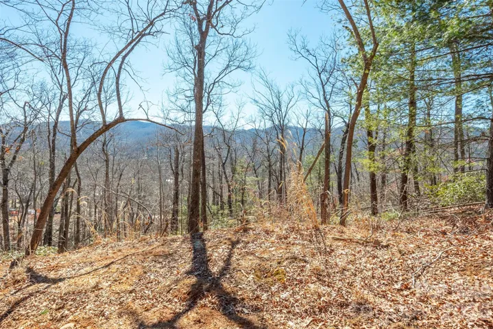 Looking Southwest from the property