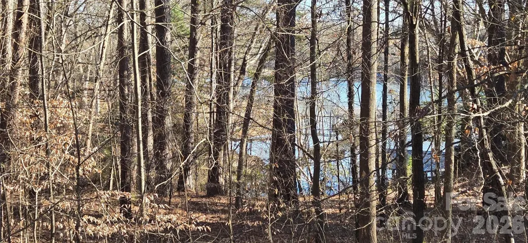 Wooded 0.37 acre Lake Norman Access lot with 50 ft of waterfront for paddleboarding, canoeing, fishing, relaxing.