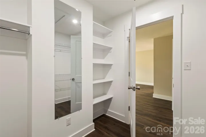 Large primary walk-in closet with additional shelving