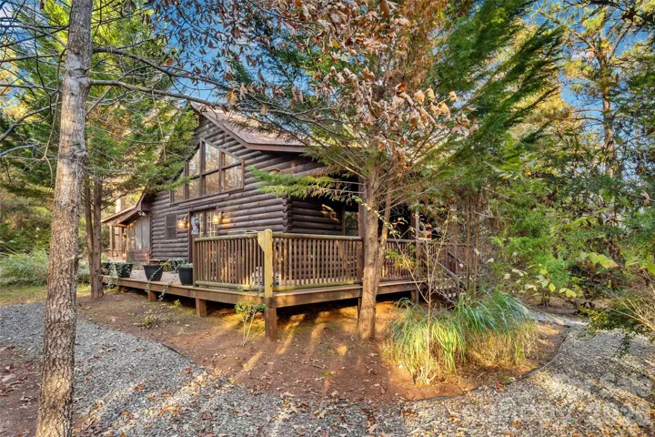 Fiona's Forest Haven