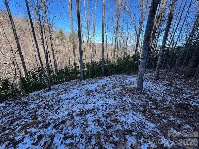 Possible year round view with tree trimming/cutting.  Looking towards Fontana Lake