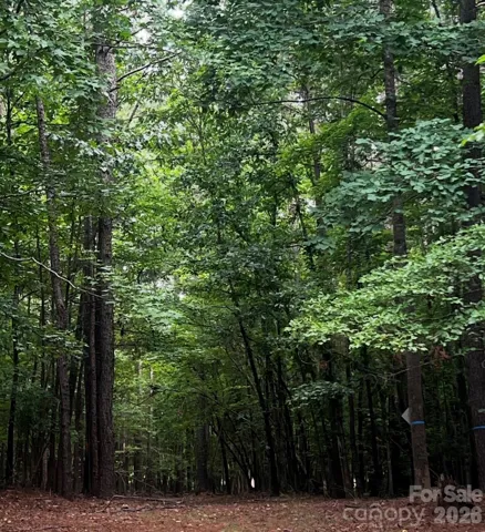 Green View Summer 8.96 acres wooded with 6-12" caliper trees