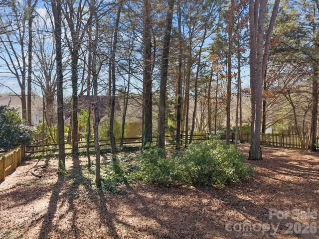 This mature tree line offers the ultimate in beauty and seclusion, transforming the yard into a truly private rear sanctuary.