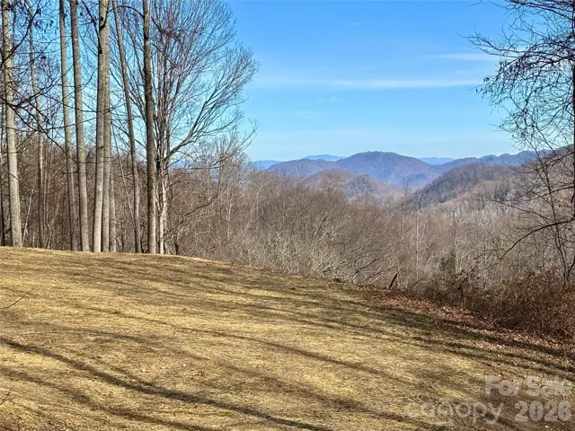 Primary build site overlooks Hap Mountain to the SE.