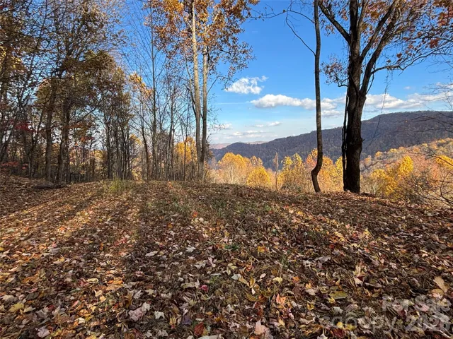 Build Site "A" with commanding views. This site perc'd for 3-bedroom conventional septic.