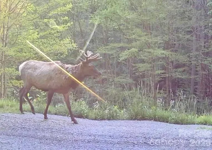 1170