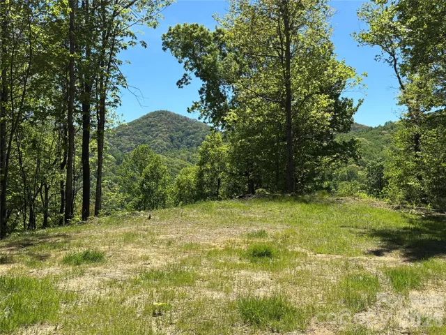 Build Site B facing Rough Knob to the south.