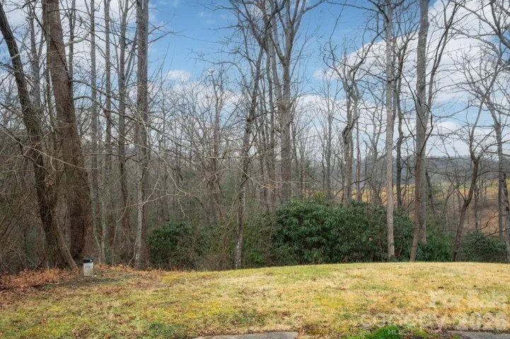 38 Gollum - 0.70 acre lot