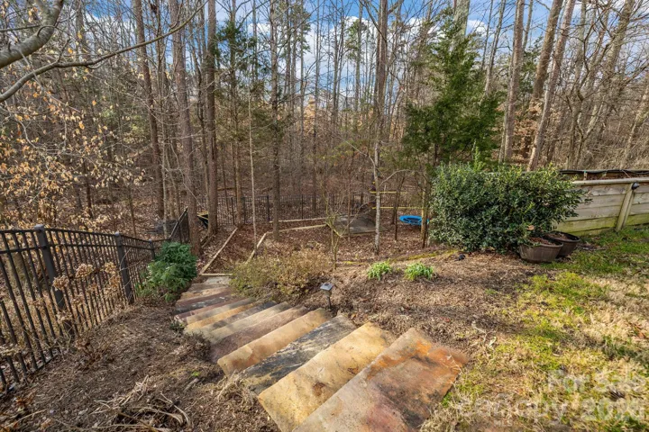 Wooded, fenced backyard!