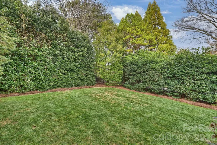 Plenty of space for a pool!