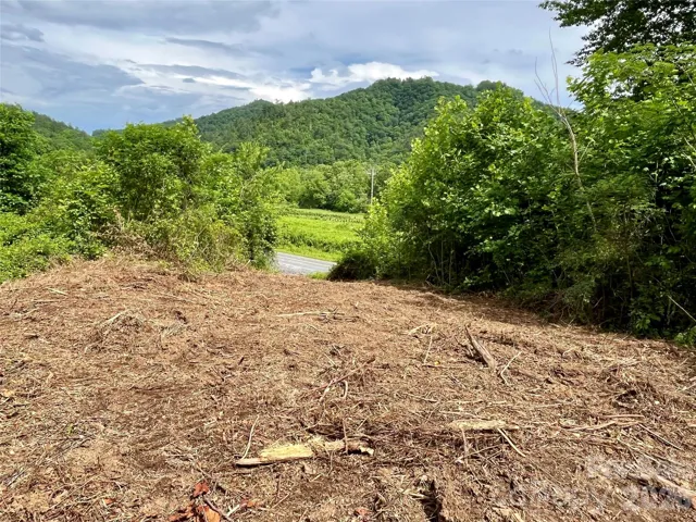 Lot 4 partially cleared!