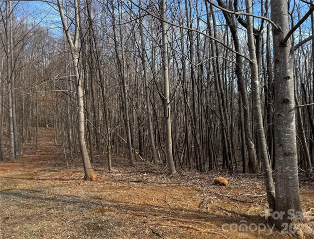 Flat buildable homesite in ideal community location