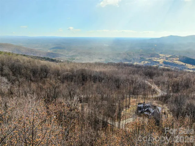 View out from just above the trees - Lot 230 in Brights Creek! You can see the leaves on the tops of the trees on the lot at the bottom of the picture.! Your actual view from a house will have a different angle.